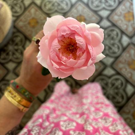 Le Logis Blanc Bed&Breakfast Coursan Ngoại thất bức ảnh