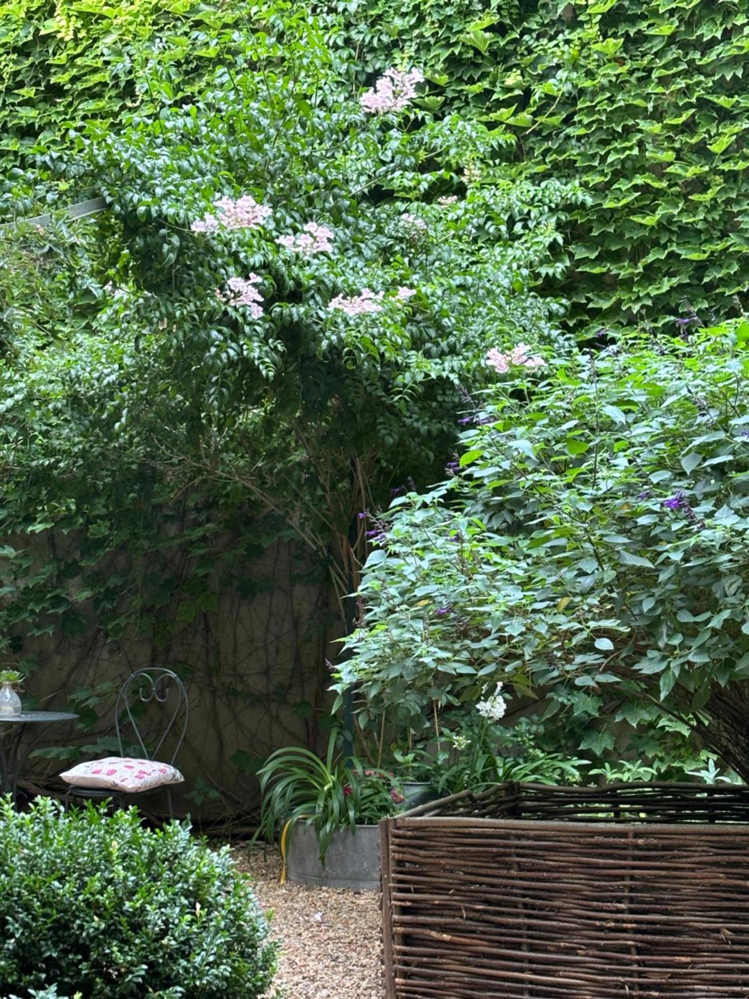 Le Logis Blanc Bed&Breakfast Coursan Ngoại thất bức ảnh