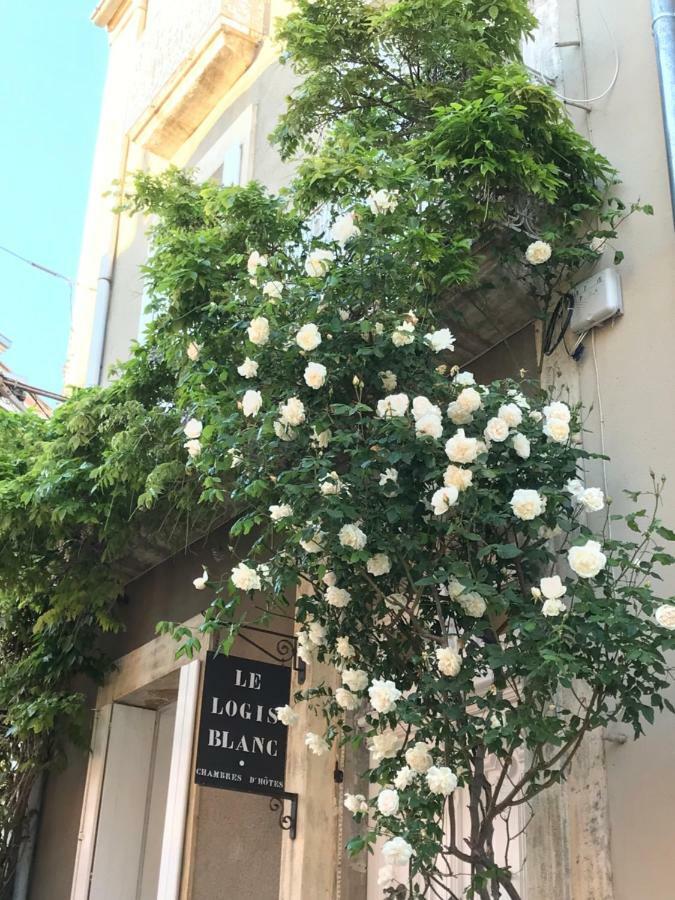 Le Logis Blanc Bed&Breakfast Coursan Ngoại thất bức ảnh