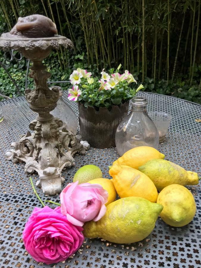 Le Logis Blanc Bed&Breakfast Coursan Ngoại thất bức ảnh